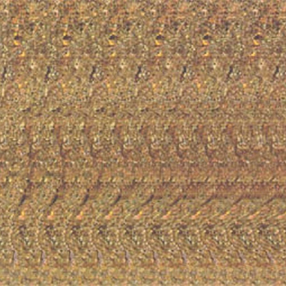 Valley of Wolves 11x14 3D RDS Random Dot poster